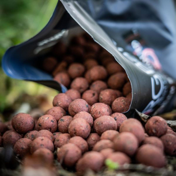 Competition main image